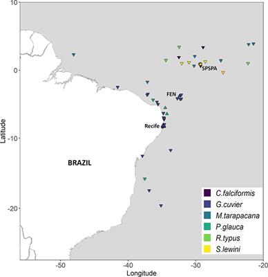 Trophic-Mediated Pelagic Habitat Structuring and Partitioning by Sympatric Elasmobranchs